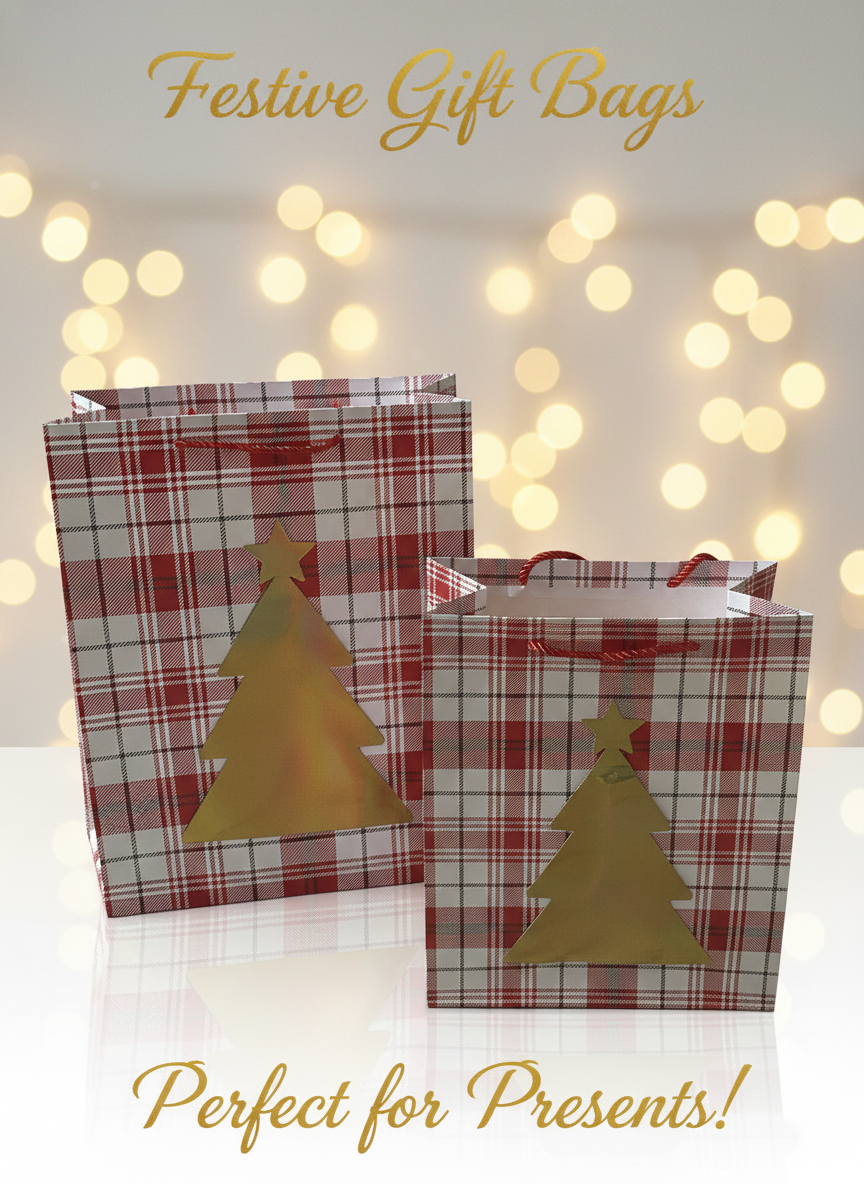 Merry & Bright Christmas Gift Bags